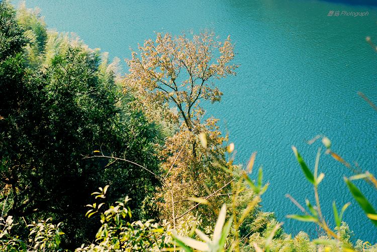 DSC_0137.jpg