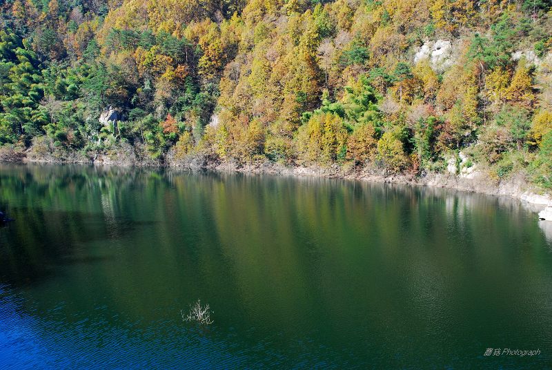 DSC_0021.jpg