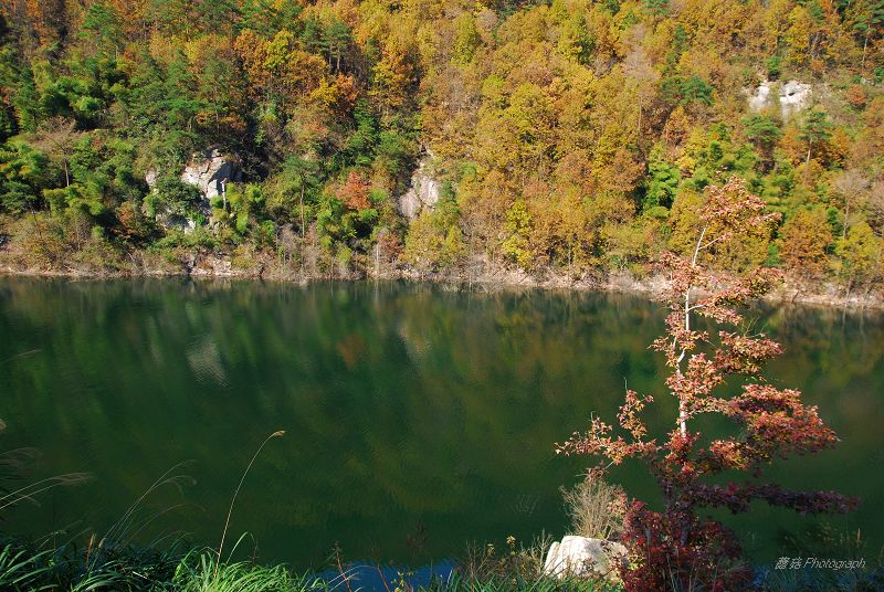DSC_0026.jpg