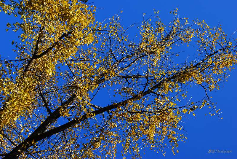 DSC_0073.jpg