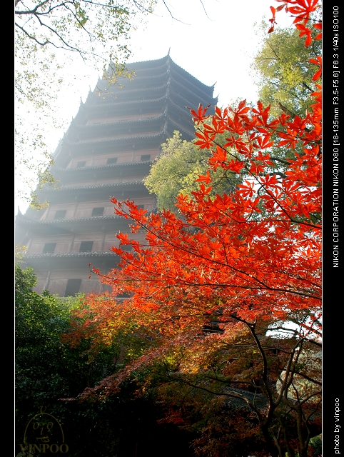 秋摄01.jpg