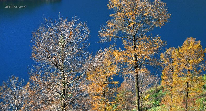DSC_0089.jpg