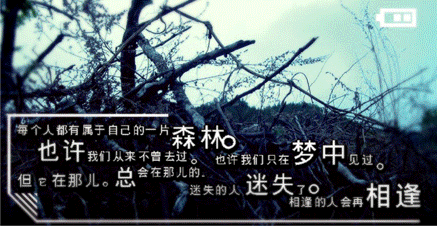 200711115444221299.gif