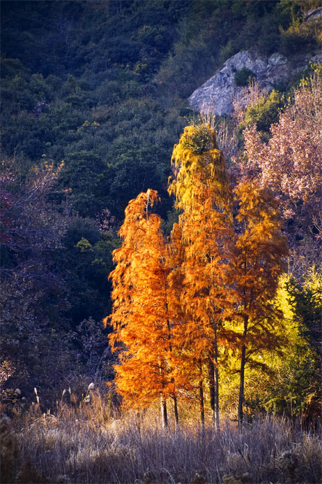 PICT3969.jpg