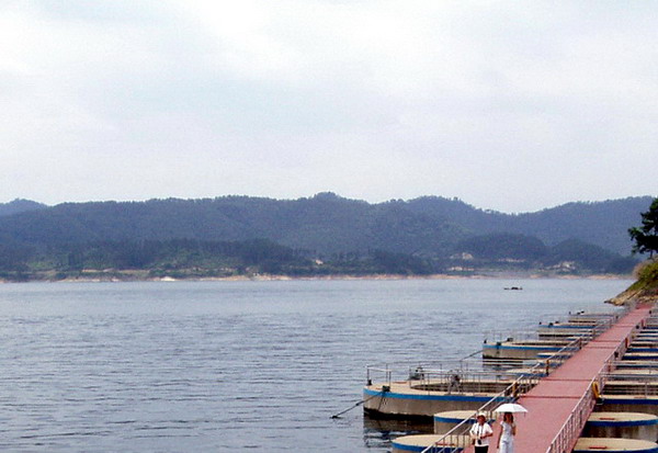 湖  面