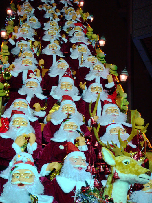 DSC01320.JPG