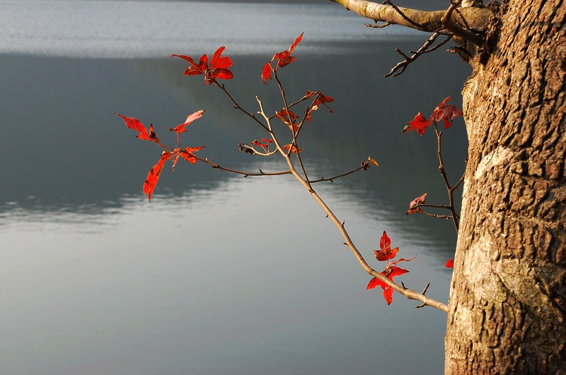 DSC_0015.jpg