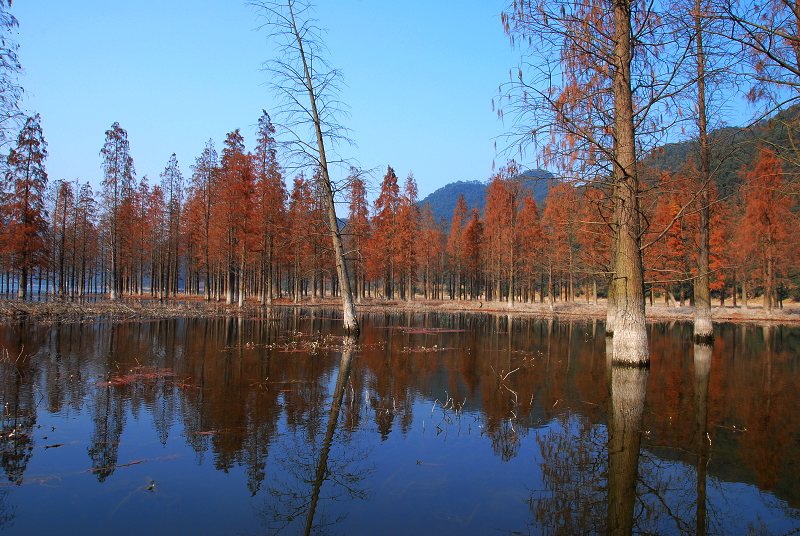 DSC_0123.jpg