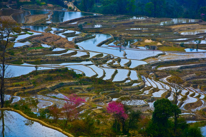 元阳梯田1.jpg