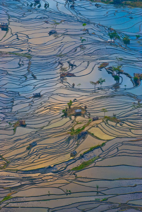 老虎嘴梯田7.jpg
