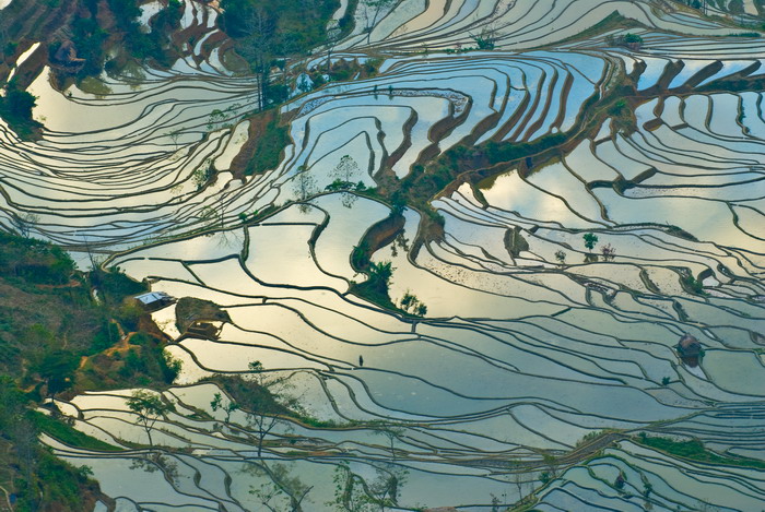 老虎嘴梯田12.jpg
