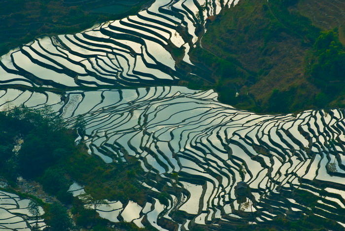 老虎嘴梯田9.jpg