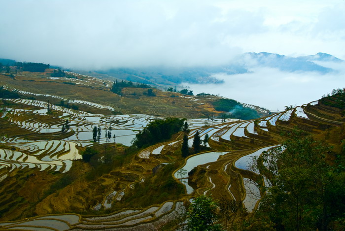 DSC_8983-1-1.jpg