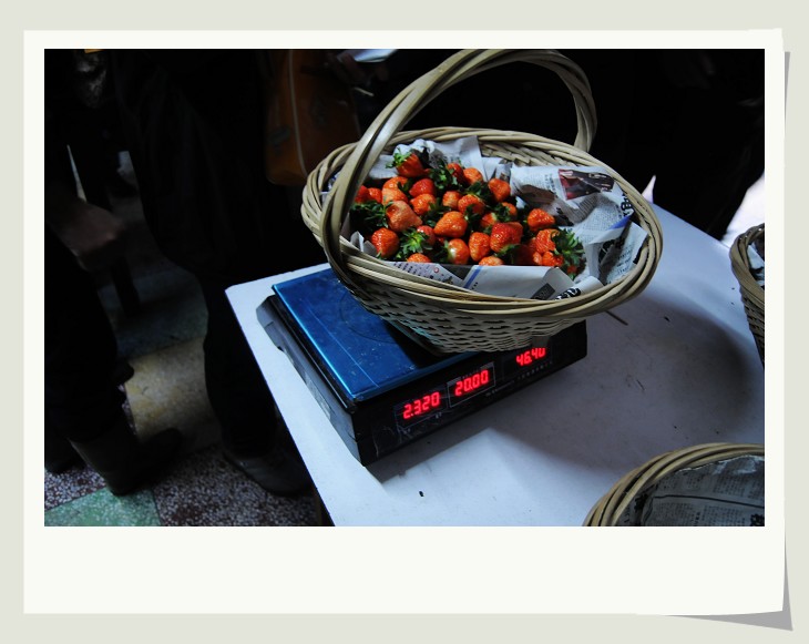 nEO_IMG_DSC_2561.jpg