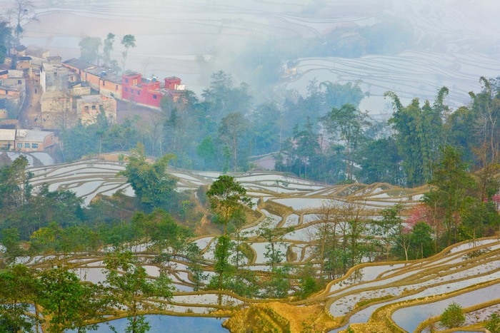 雾中小村.jpg