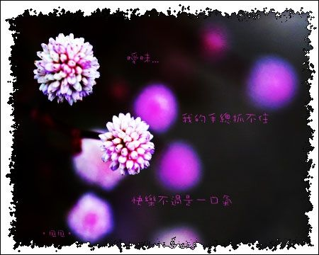 无标题.bmp