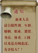 对付新人.jpg