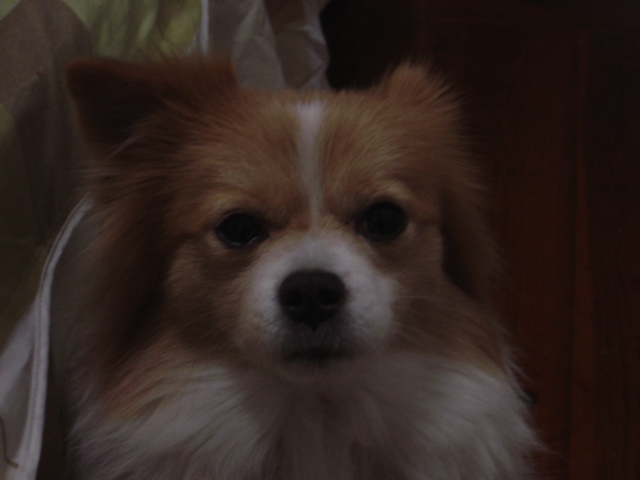 DSC02961.JPG