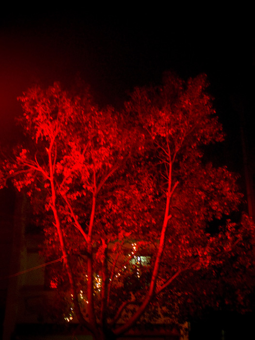 DSCF4228.jpg