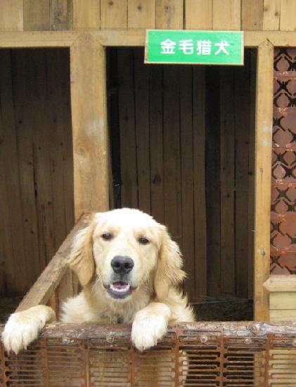 QQ截图未命名2.jpg