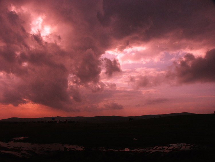 PICT0055.jpg