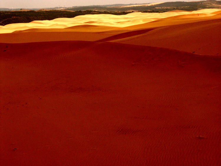 PICT0098.jpg
