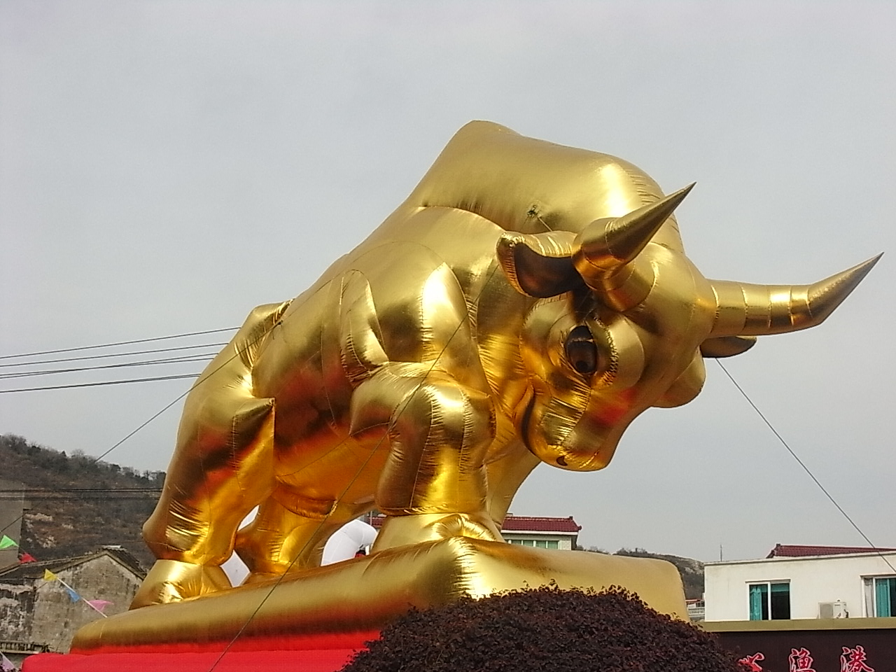 金牛迎新春
