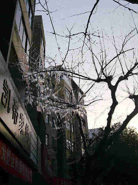 建设路凯地家纺的顶楼太阳能热水器水管冻裂了