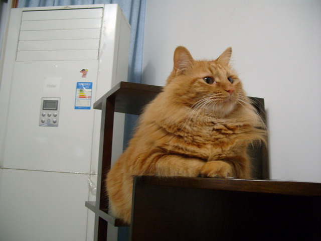 S1054226.JPG
