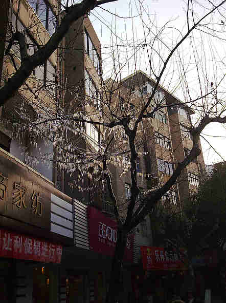 建设路凯地家纺的顶楼太阳能热水器水管冻裂了