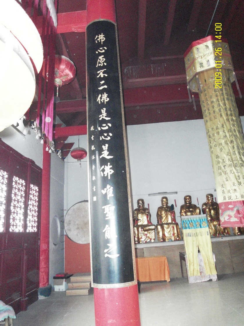 SDC10133.jpg