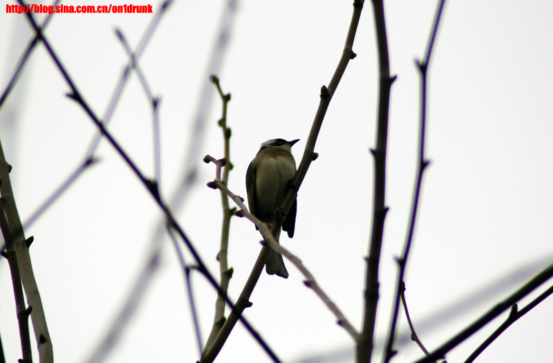 DSC_0167.jpg