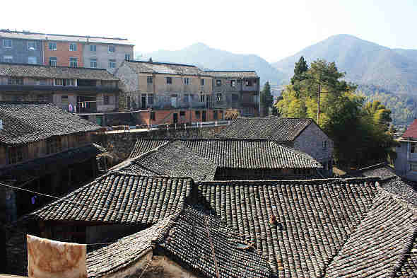 张湾村风光