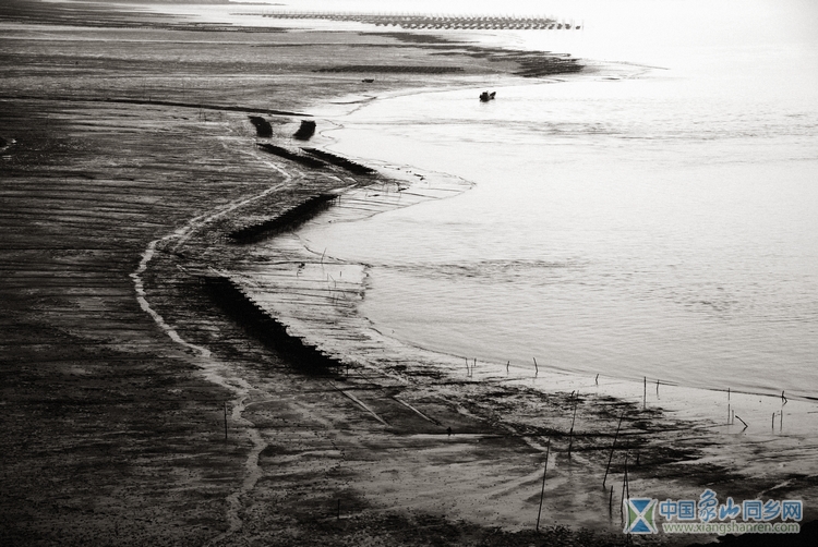 DSC_2229.jpg