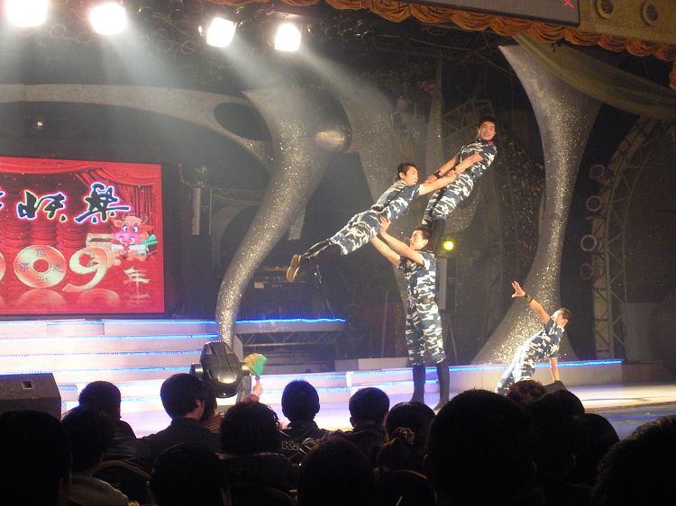 阳光男孩.jpg
