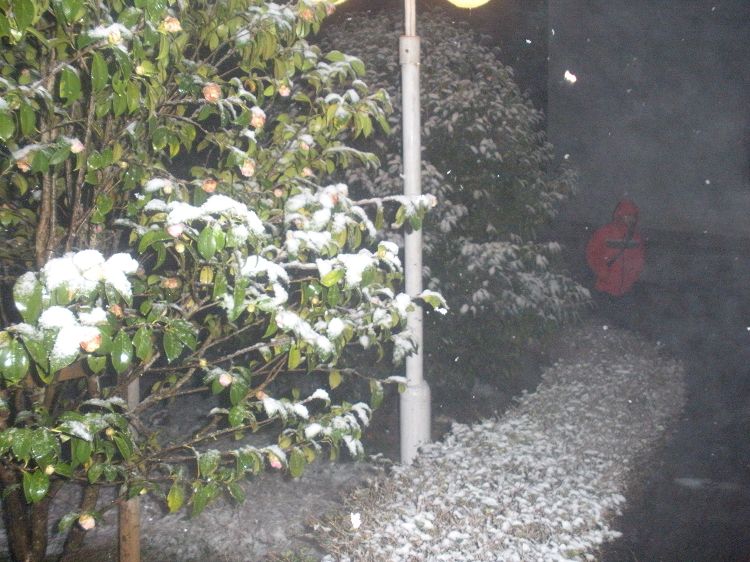 冒雪去吃饭~~.jpg