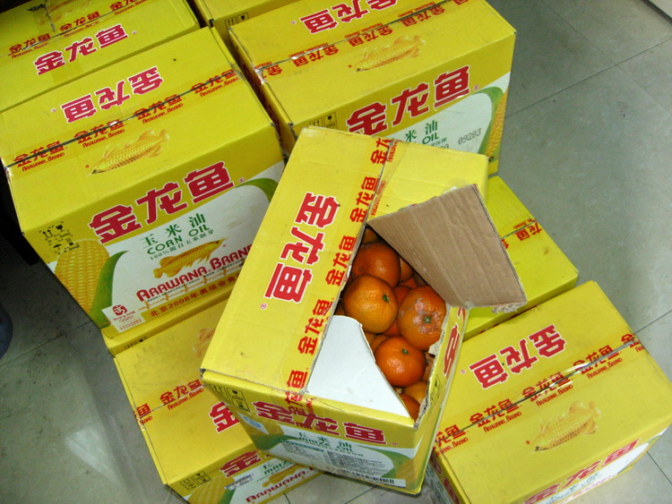 DSCN1330.jpg
