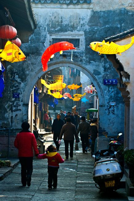 杨忠华摄-1-1.jpg