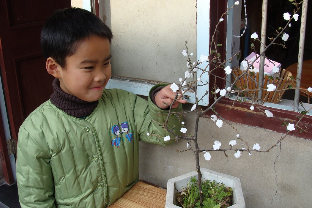 我梅姨的孙子和他奶奶共同制作的手工梅花