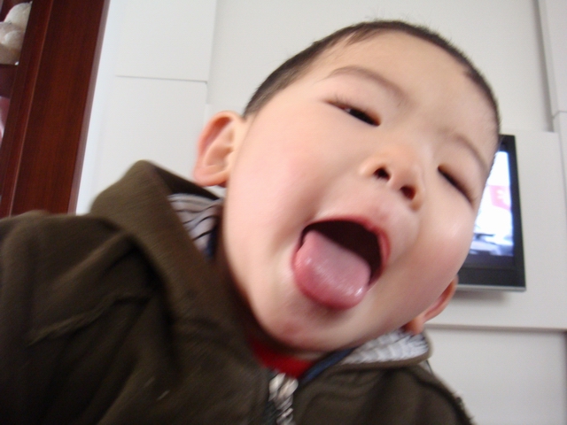 DSC00455.JPG