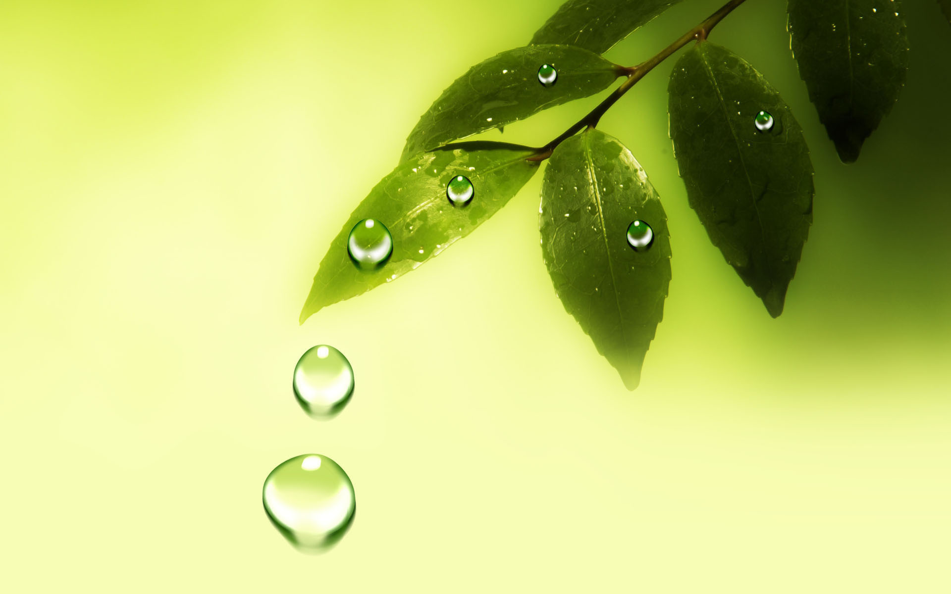 320_515601_c151bafe1b0ff8c.jpg