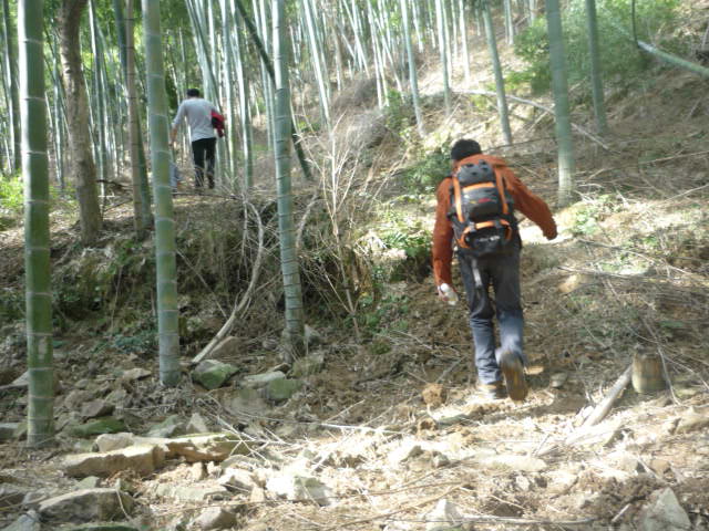 P1020011.JPG