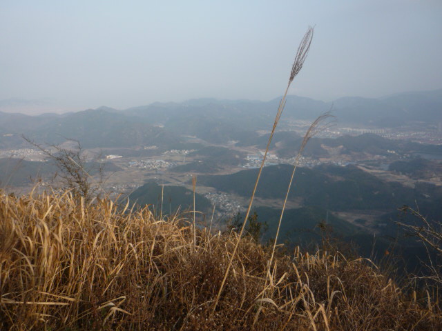 P1020034.JPG
