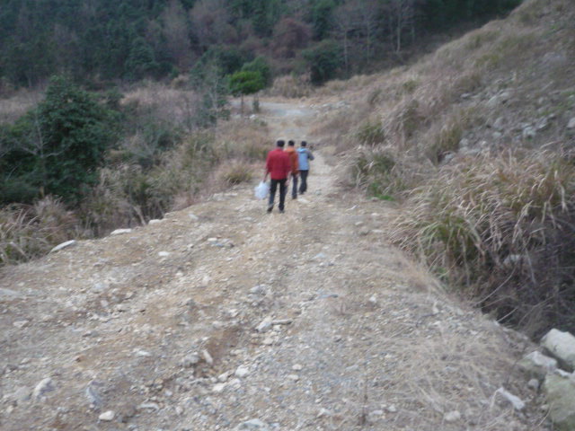 继续上路