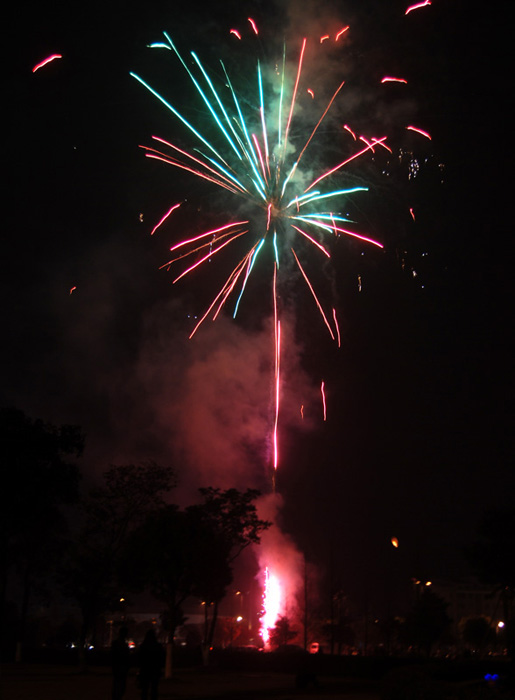 DSC_0274.JPG