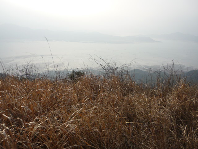 P1020036.JPG