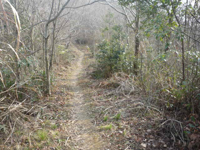 P1020077.JPG