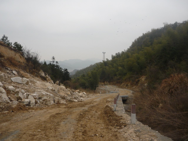 P1010989.JPG