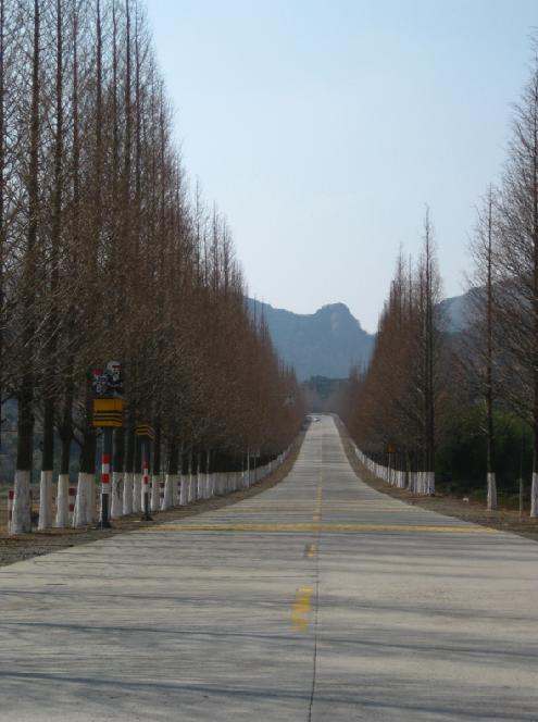 家门前的马路.jpg