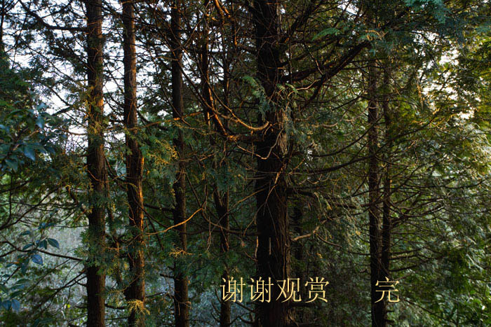 59副本.jpg